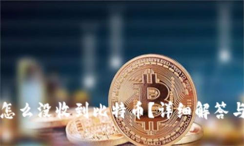 比太钱包怎么没收到比特币？详细解答与常见问题