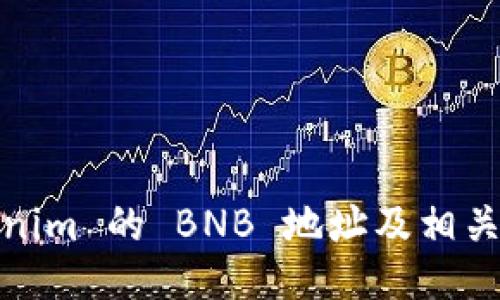 Tokenim 的 BNB 地址及相关信息