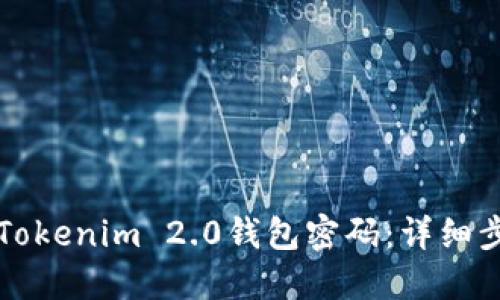 如何找回Tokenim 2.0钱包密码：详细步骤和指南