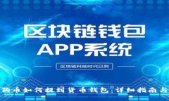 : 狗狗币如何提到货币钱包