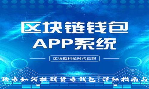 : 狗狗币如何提到货币钱包：详细指南与步骤