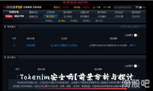 Tokenim安全吗？前景分析与探讨