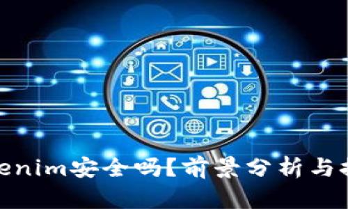 Tokenim安全吗？前景分析与探讨