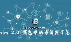 Tokenim 2.0 钱包中的币消失