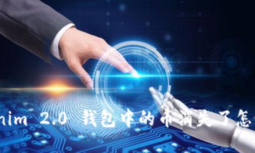 Tokenim 2.0 钱包中的币消失了怎么办？