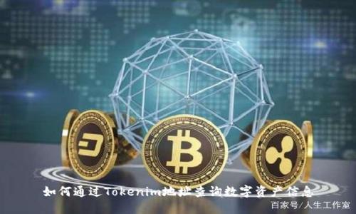 如何通过Tokenim地址查询数字资产信息