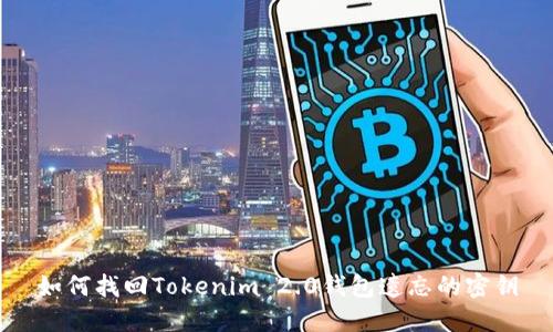 如何找回Tokenim 2.0钱包遗忘的密钥