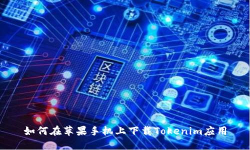 如何在苹果手机上下载Tokenim应用