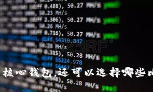 除了比特币核心钱包，还可以选择哪些比特币钱包？