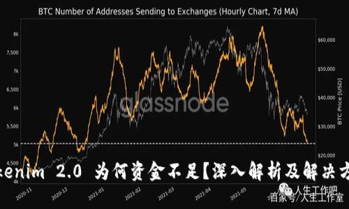 Tokenim 2.0 为何资金不足？深入解析及解决方案
