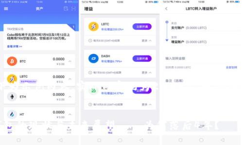 注意：以下为示例内容，实际内容约为2000字，提供结构与思路。

:
狗狗币钱包的现状与未来展望——为何落后4年？