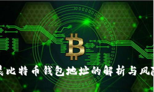 孙宇晨比特币钱包地址的解析与风险提示