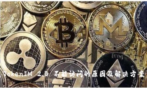 TokenIM 2.0 不能访问的原因及解决方案