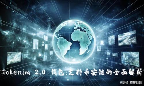 Tokenim 2.0 钱包：支持币安链的全面解析