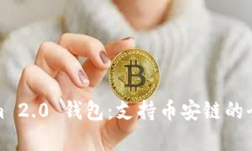 Tokenim 2.0 钱包：支持币安链的全面解析