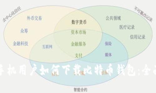 华为手机用户如何下载比特币钱包：全面指南