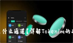 Tokenim是什么通道？详解