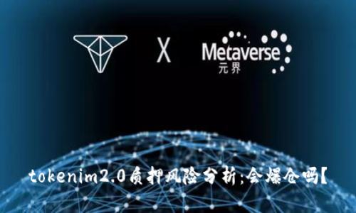 tokenim2.0质押风险分析：会爆仓吗？