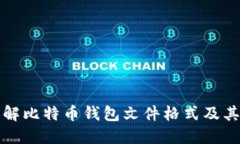 深入了解比特币钱包文件