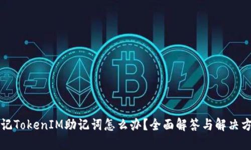 忘记TokenIM助记词怎么办？全面解答与解决方案