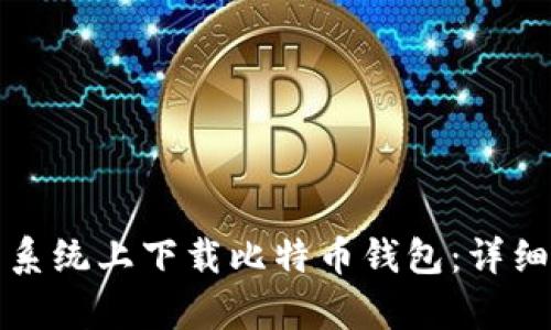 如何在安卓系统上下载比特币钱包：详细步骤与指南