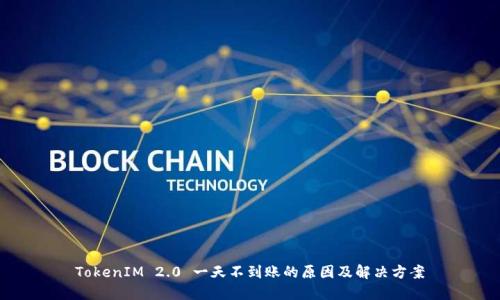 TokenIM 2.0 一天不到账的原因及解决方案