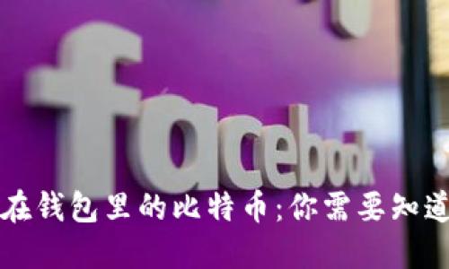 分叉后在钱包里的比特币：你需要知道的一切