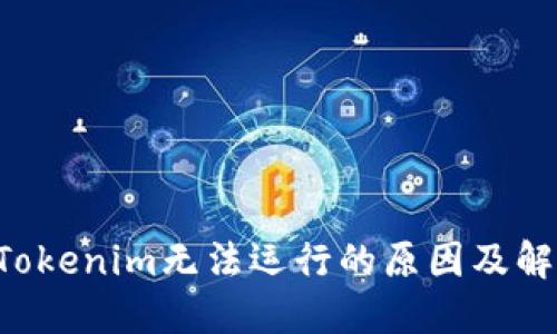 biatuTokenim无法运行的原因及解决方法