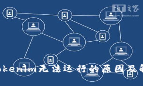 biatuTokenim无法运行的原因及解决方法