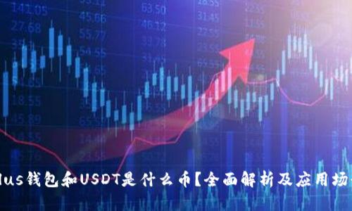 Plus钱包和USDT是什么币？全面解析及应用场景