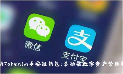 深入剖析Tokenim币安链钱包：多功能数字资产管理解决方案