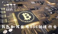 Tokenim 2.0钱包如何使用BS