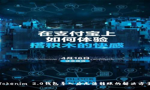 Tokenim 2.0钱包导入后无法转账的解决方案