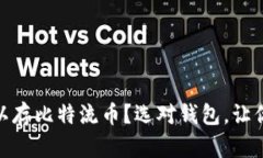 : 什么钱包可以存比特流币