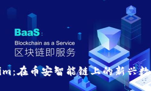 Tokenim：在币安智能链上的新兴数字资产