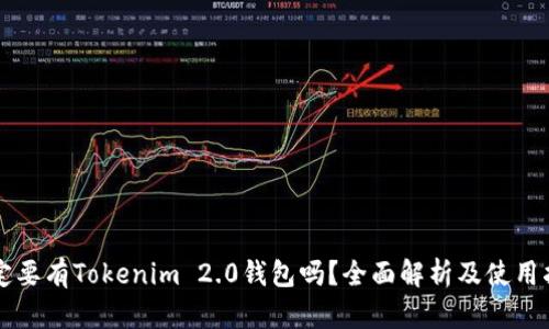 一定要有Tokenim 2.0钱包吗？全面解析及使用指南