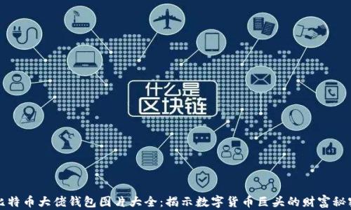
比特币大佬钱包图片大全：揭示数字货币巨头的财富秘密