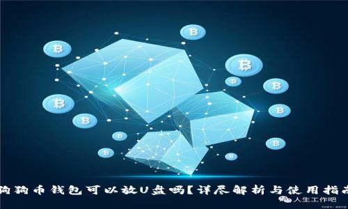 狗狗币钱包可以放U盘吗？详尽解析与使用指南