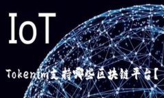 Tokenim支持哪些区块链平台