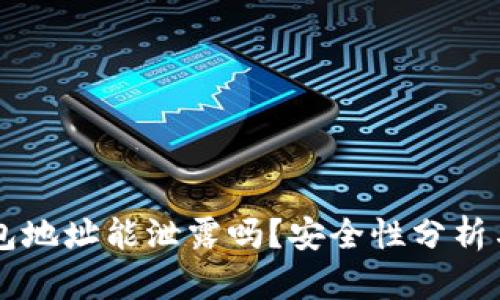 : USDT钱包地址能泄露吗？安全性分析与防护措施
