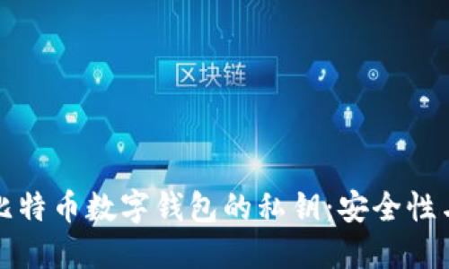 深入探讨比特币数字钱包的私钥：安全性与管理技巧