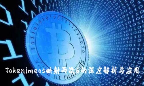 Tokenimeos映射两次6的深度解析与应用