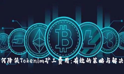 : 如何降低Tokenim矿工费用：有效的策略与解决方案