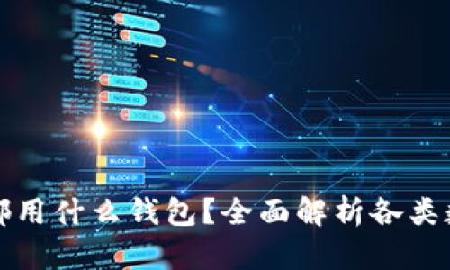 比特币国内都用什么钱包？全面解析各类数字货币钱包