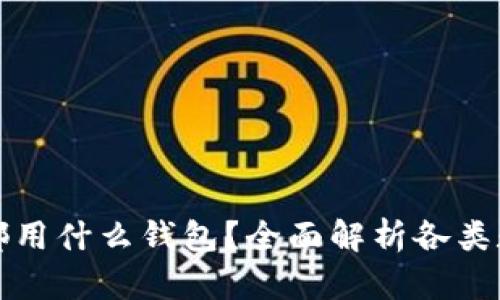 比特币国内都用什么钱包？全面解析各类数字货币钱包