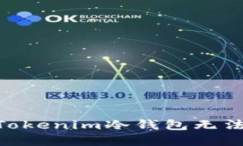 riaoti解决Tokenim冷钱包无法转账的问题