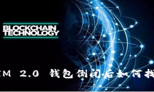 TokenIM 2.0 钱包倒闭后如何找回资产