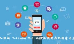 深入分析 Tokenim 2.0 风险测