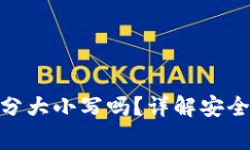 TokenIM私钥分大小写吗？详解安全性与注意事项