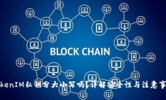 TokenIM私钥分大小写吗？详